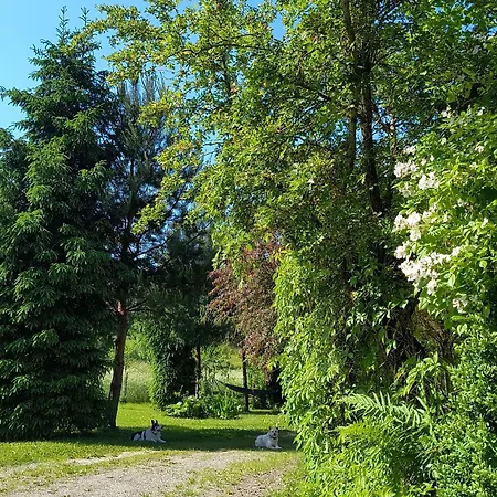 Holiday home Dom Z Ogrodem Na Mazurach Sorkwity