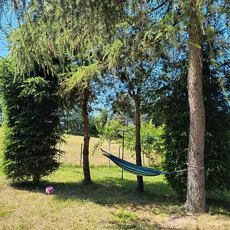 Dom wakacyjny Dom Z Ogrodem Na Mazurach