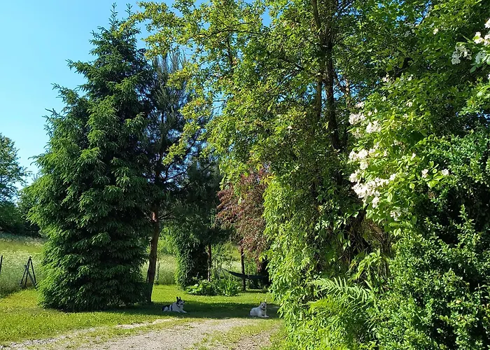 Holiday home Dom Z Ogrodem Na Mazurach Sorkwity